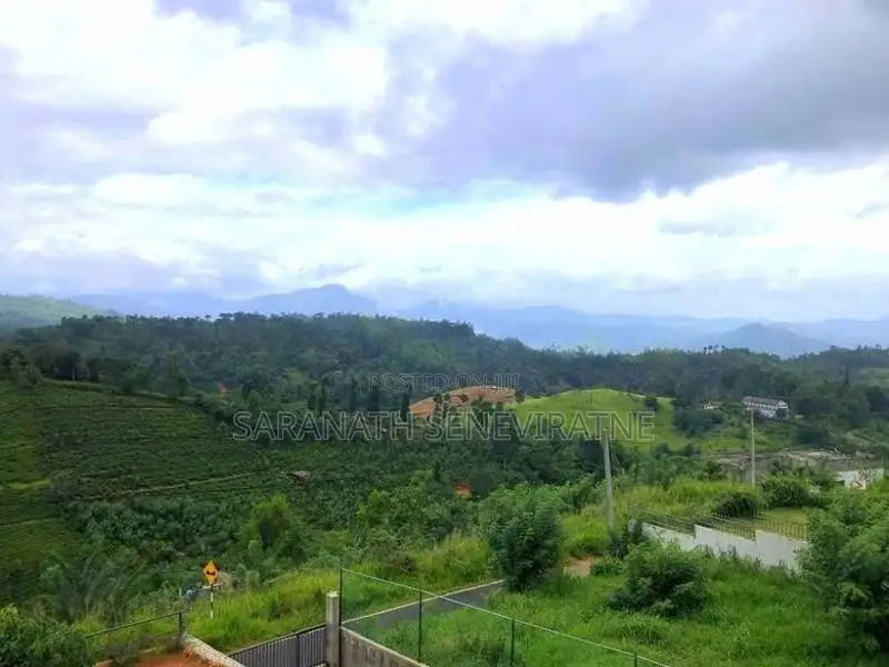 Luxury Villa for Sale Doluwa, Lagumdeniya Kandy