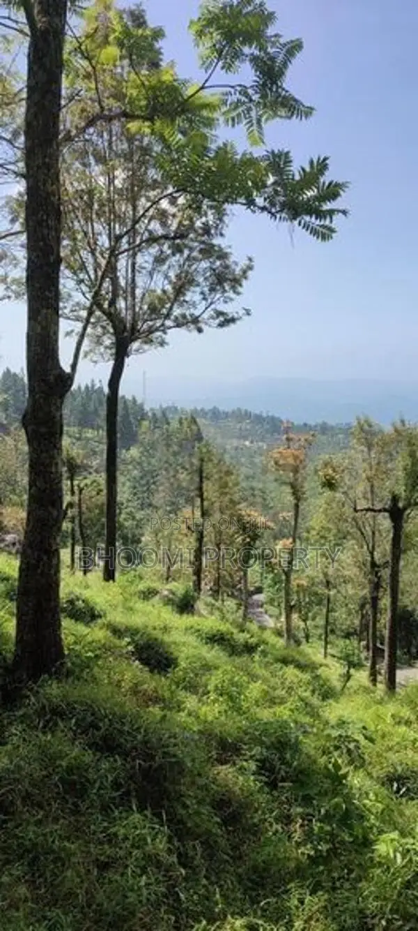 Land for sale in Haputale