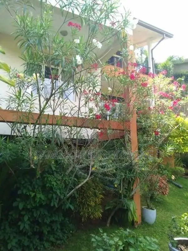 Fully Furnished Luxury House Sale Victoria Range Bungalows Digana Kand