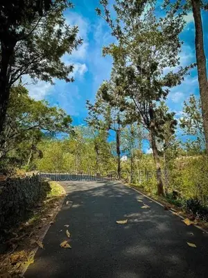 Land for sale in Haputale