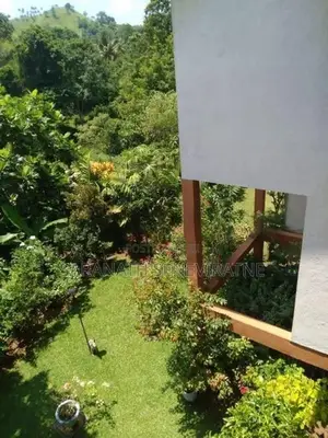Fully Furnished Luxury House Sale Victoria Range Bungalows Digana Kand