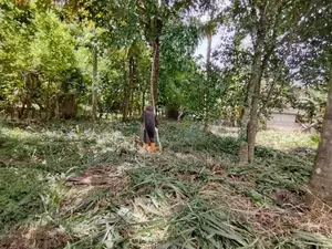 Land for Sale – Near Kurunegala