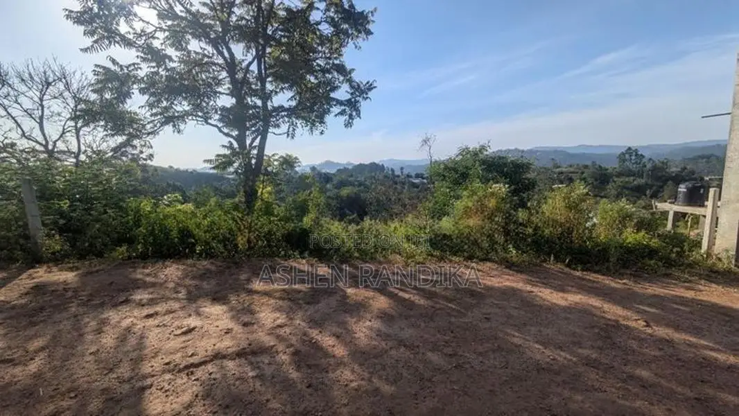 Land in Moragolla Road Welimada