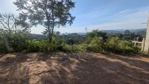 Land in Moragolla Road Welimada
