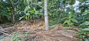Land for Sale Boralesgamuwa Raththanapitiya