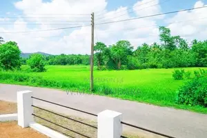 Near Dambadeniya Hospital Land for Sale P6