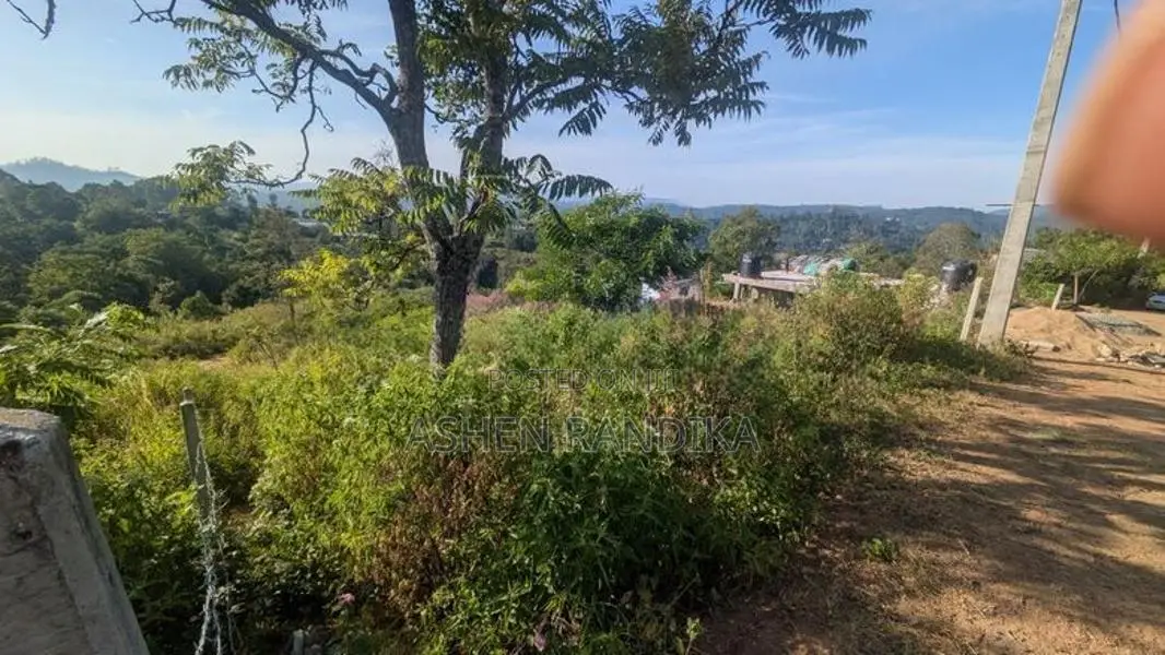 Land in Moragolla Road Welimada