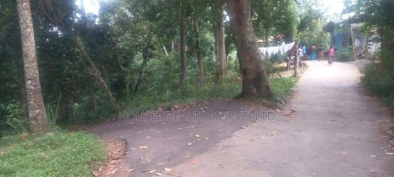 Prime Residential Land for Sale – Wattegama