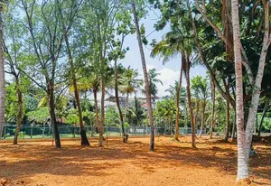 Beach Land for Sale Weligama