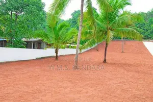 Near Dambadeniya Hospital Land for Sale P6
