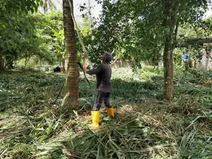Land for Sale – Near Kurunegala
