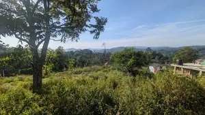 Land in Moragolla Road Welimada