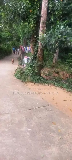 Prime Residential Land for Sale – Wattegama