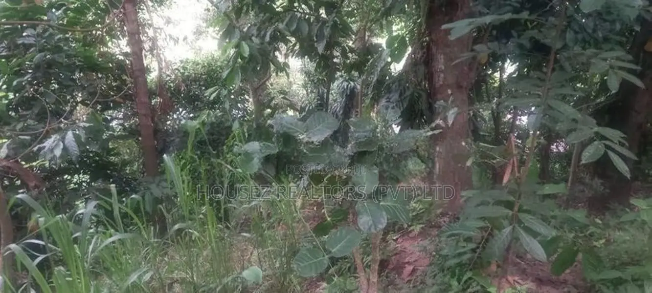 Prime Residential Land for Sale – Wattegama