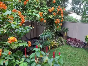 House for Rent Jayawaddanapura