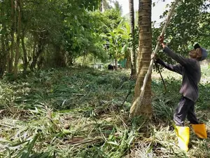 Land for Sale – Near Kurunegala