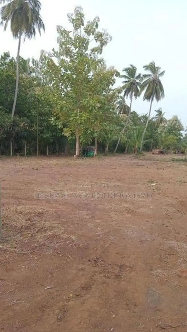 අනුරාධපුර පූජා නගර සීමාවේ පර්චස් 10ක සුපිරි සින්නක්කර බිම් කොටස්