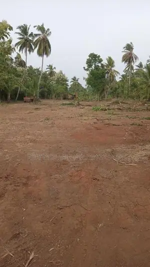 අනුරාධපුර පූජා නගර සීමාවේ පර්චස් 10ක සුපිරි සින්නක්කර බිම් කොටස්