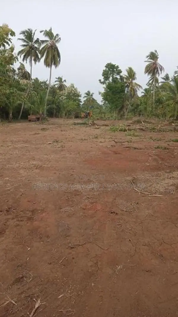 අනුරාධපුර පූජා නගර සීමාවේ පර්චස් 10ක සුපිරි සින්නක්කර බිම් කොටස්