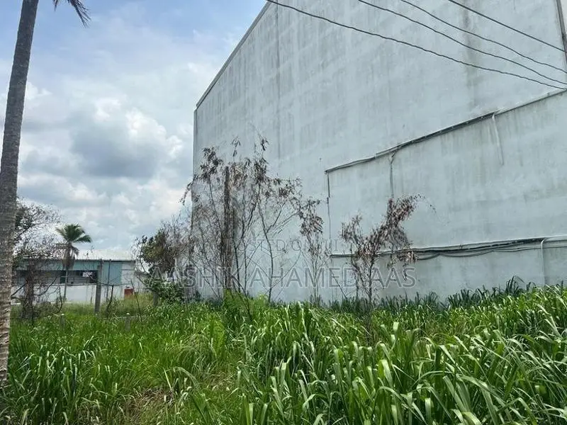 Land for Sale in Thihariya