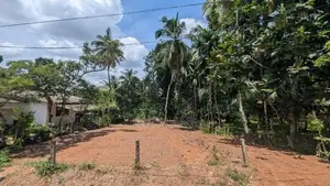 යක්කල නගරය ආසන්නයෙන් වටිනා නේවාසික බිම් කොටසක් / YS 14729