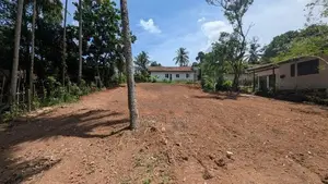 යක්කල නගරය ආසන්නයෙන් වටිනා නේවාසික බිම් කොටසක් / YS 14729