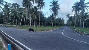 යක්කල බිම්කොටස් ඉඩමක් විකිණීමට