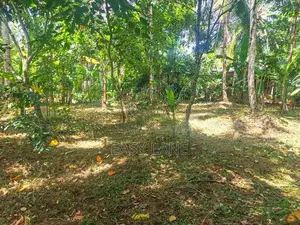 වැලිවේරිය නගරයට ආසන්නයේ පර්චස් 15 / YS 12656
