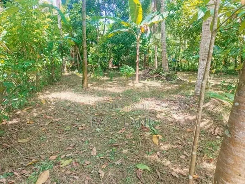 වැලිවේරිය නගරයට ආසන්නයේ පර්චස් 15 / YS 12656