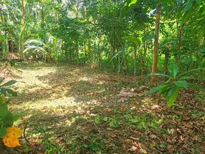 වැලිවේරිය නගරයට ආසන්නයේ පර්චස් 15 / YS 12656