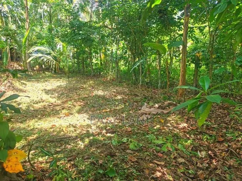 වැලිවේරිය නගරයට ආසන්නයේ පර්චස් 15 / YS 12656