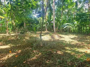 වැලිවේරිය නගරයට ආසන්නයේ පර්චස් 15 / YS 12656