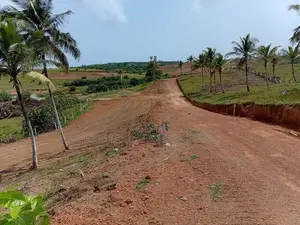 ඉඩම - වැලිපැන්න