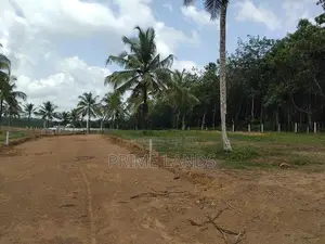පදිංචියට නිස්කලංක බිම් කොටස්