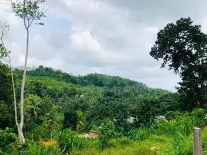Galle Jayanthi Mawatha Land for Sale