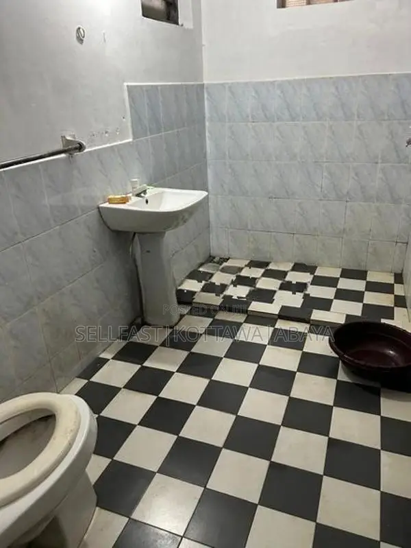 Sharing rooms for girls ( With all facilities )