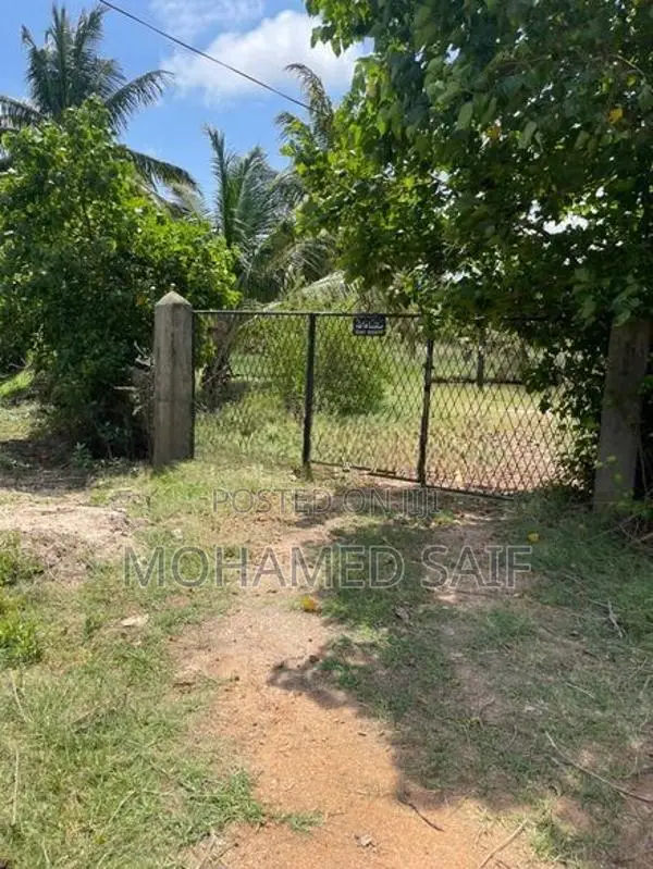 Coconut Estate Land for Sale - Puttalam