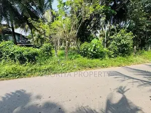 මාර්ගයට මුහුනලා ව්‍යාපාරයකට / පදිංචියට ඉඩමක් විකිණීමට - Piliyandala