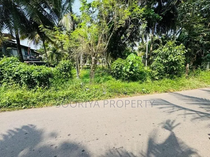 මාර්ගයට මුහුනලා ව්‍යාපාරයකට / පදිංචියට ඉඩමක් විකිණීමට - Piliyandala