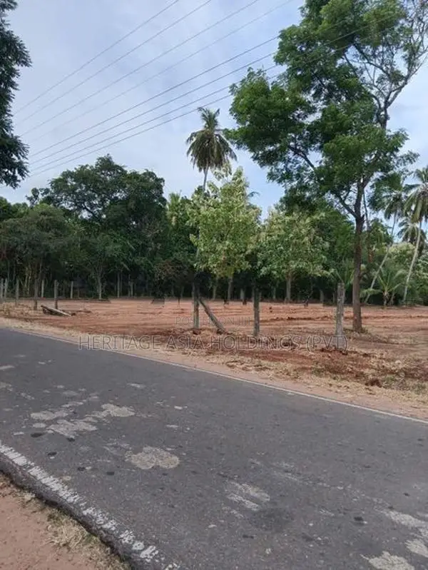 ඉඩමක් - අනුරාධපුර
