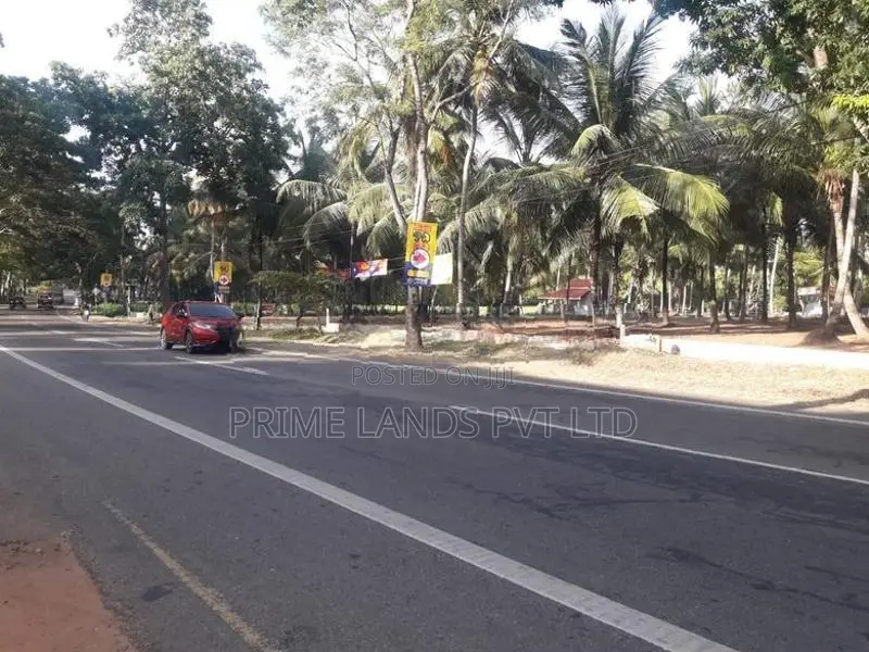 අනුරාධපුර 57 පාරෙන් ඉඩමක් විකිණීමට
