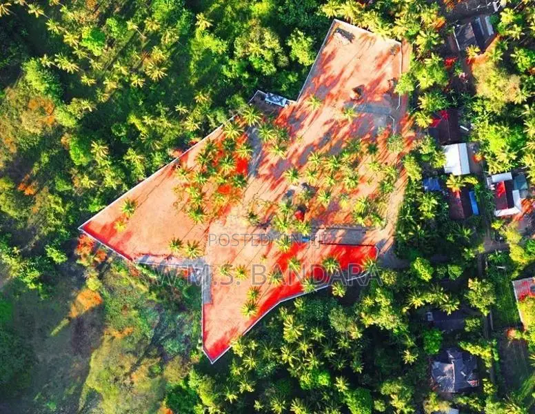 Land for Sale in Malsiripura U 02