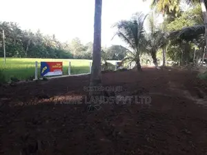 අනුරාධපුර 57 පාරෙන් ඉඩමක් විකිණීමට