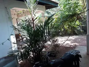 Prime Land 16P with House for Sale in Near Katunayake Airport