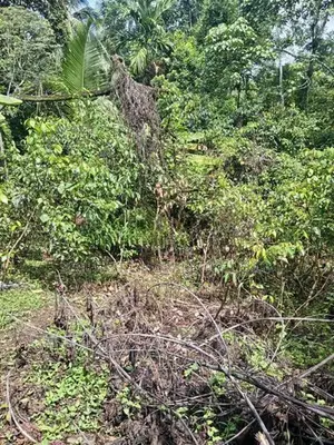 Valuable Land for Sale in Pitipana