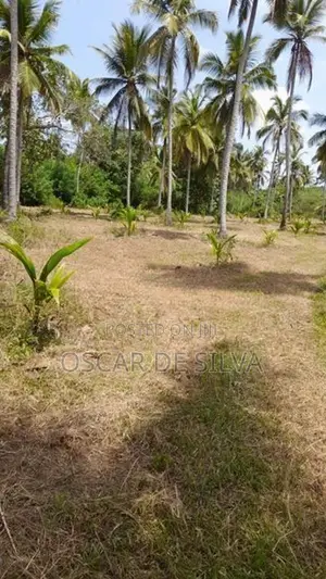 Land for Sale Bodhimulla