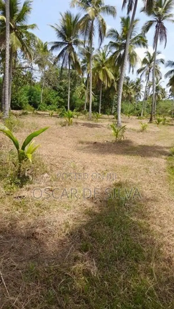 Land for Sale Bodhimulla