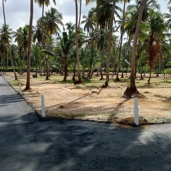 වේයන්ගොඩ නයිවල කදිම බිම්කොටස්
