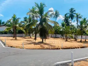 කදාන නගරයට ලගින්ම රිලවුල්ල සුපිරි බිම්කොටස්