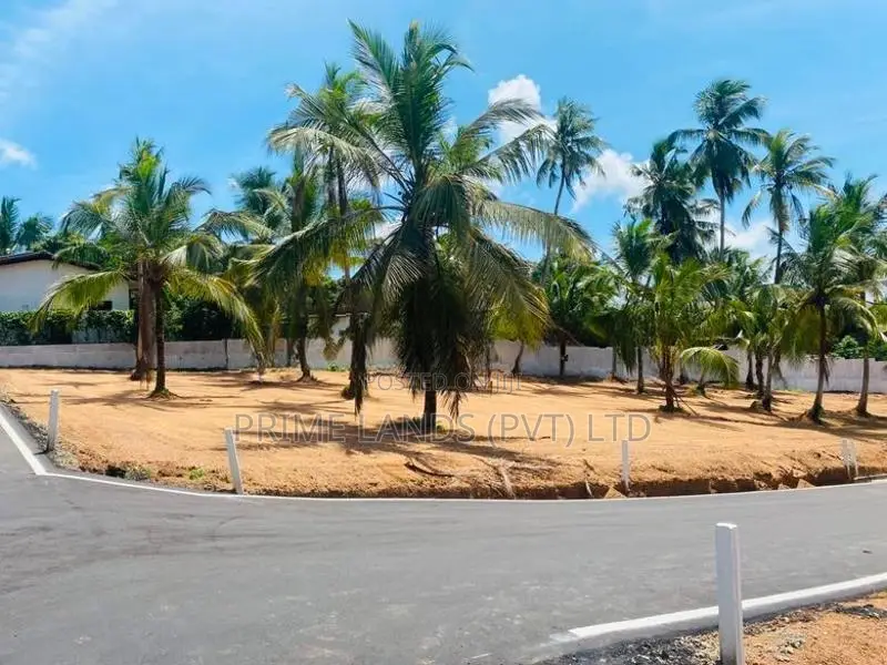 කදාන නගරයට ලගින්ම රිලවුල්ල සුපිරි බිම්කොටස්